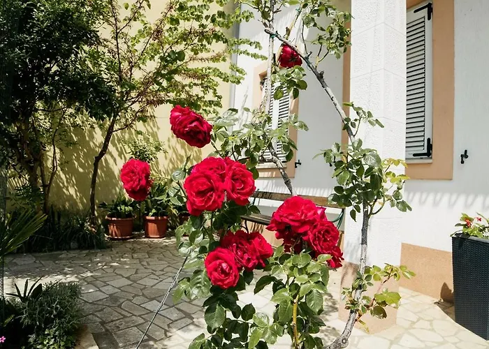 5206e Διαμέρισμα Selce