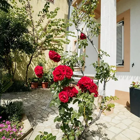 5206e Apartman Selce